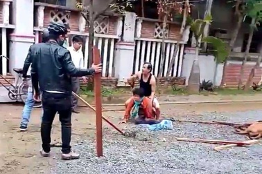 Pitbull điên cuồng cắn người: Nạn nhân thường bị thương rất nặng, thậm chí tử vong