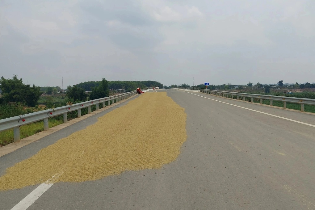 Cầu trăm tỷ xây xong nằm chờ đường dẫn - 3 Cầu trăm tỷ xây xong nằm chờ đường dẫn - 3