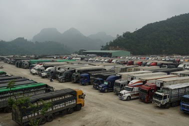 Hàng nghìn xe nông sản ùn ứ ở cửa khẩu Lạng Sơn
