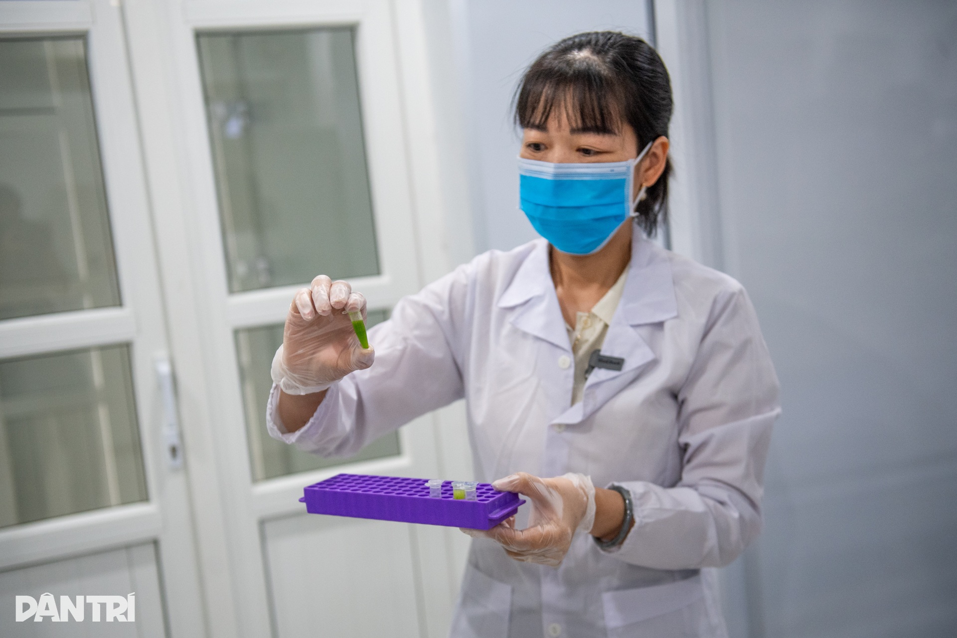 Giải mã gen tìm tầm vóc của cây lúa Việt trong kỷ nguyên mới - 9
