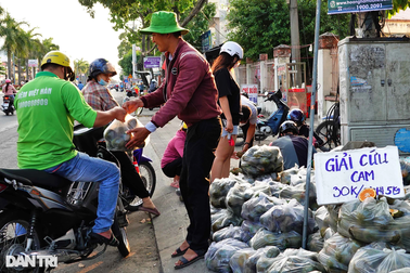 Cú "lội ngược dòng" của cam sành Vĩnh Long sau một tuần giải cứu