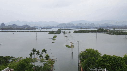 Trắng tay sau vụ mùa và cuộc sống trăm bề khổ cực của người dân sau lũ lớn