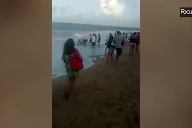 Cá mập tấn công người trên bãi biển Brazil