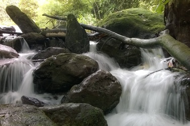 Ảnh dự thi số 4: Dải lụa trắng giữa rừng xanh