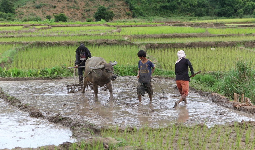 Mùa hè của trẻ em người Xơ Đăng dưới chân núi Ngọc Linh - 2 Mùa hè của trẻ em người Xơ Đăng dưới chân núi Ngọc Linh - 2