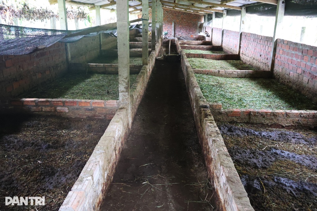 Nữ nông dân nghĩ khác, làm khác, biến đất cằn thành “mỏ vàng” - 2