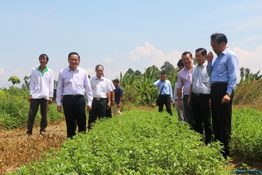 Cải cách hành chính không làm theo kiểu “đánh trống bỏ dùi”