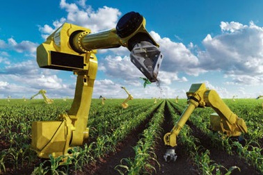 Nếu robot này được bán tại Việt Nam, nhiều nông dân sẽ mất việc?