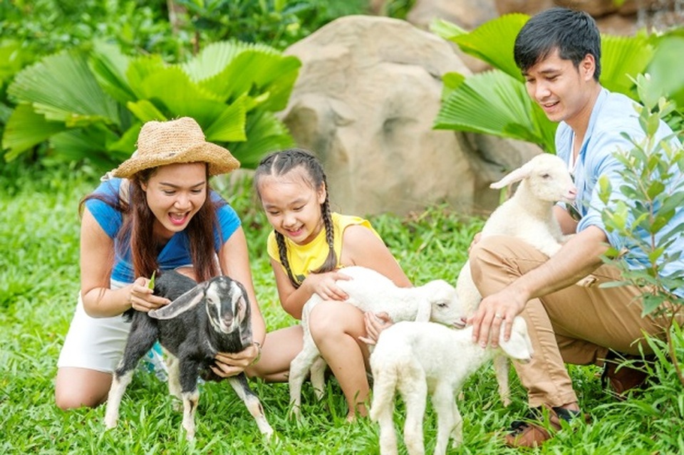 Vui tròn khoảnh khắc, Tết trọn yêu thương trên đảo Ngọc - 3 Vui tròn khoảnh khắc, Tết trọn yêu thương trên đảo Ngọc - 3