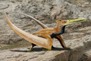 Hé lộ "quái vật bầu trời" cổ đại đầu tiên tại Nhật cách đây 90 triệu năm