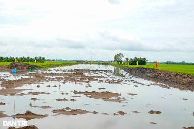 Xây cao tốc ở ĐBSCL: Dùng cát nhân tạo thay thế cát tự nhiên không khả thi