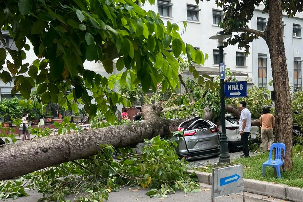 Những điều chủ ô tô cần lưu ý trong mùa mưa bão để bảo toàn tài sản - 1 Những điều chủ ô tô cần lưu ý trong mùa mưa bão để bảo toàn tài sản