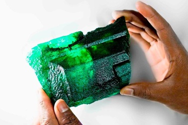 Đào được viên ngọc lục bảo to như quả dứa, nặng 1,1 kg