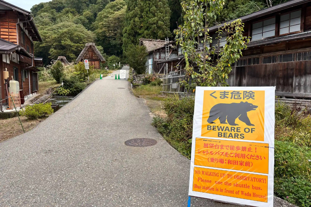 Đồng hồ hé lộ phút cuối đời ám ảnh của người bị gấu kéo vào rừng cắn chết - 2 Đồng hồ hé lộ phút cuối đời ám ảnh của người bị gấu kéo vào rừng cắn chết - 2