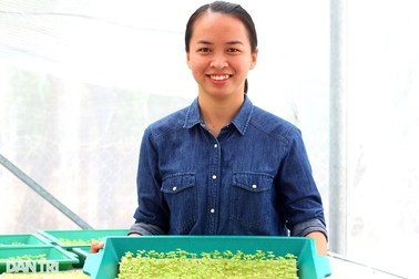 Nữ thạc sĩ bỏ việc nhà nước về quê trồng rau sạch, làm du lịch xanh