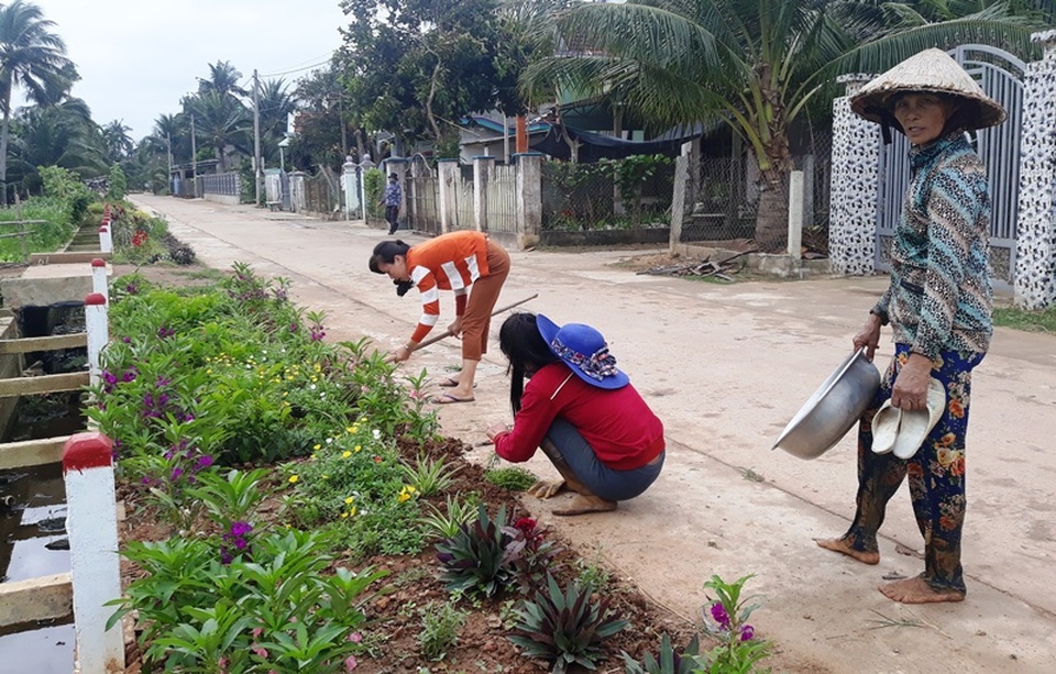 Cả làng “xin” hoa về trồng, đường quê Bình Định đẹp như tranh họa - 2 Cả làng “xin” hoa về trồng, đường quê Bình Định đẹp như tranh họa - 2