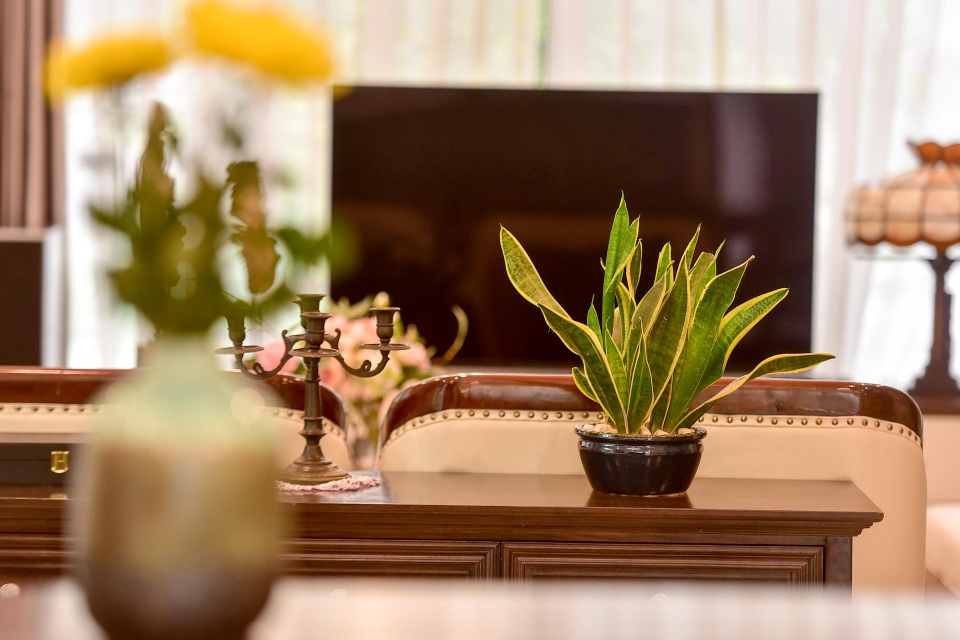 Mãn nhãn biệt thự vườn rộng 100m2 với hồ cá Koi đẳng cấp ở ngoại thành Hà Nội - 11 Mãn nhãn biệt thự vườn rộng 100m2 với hồ cá Koi đẳng cấp ở ngoại thành Hà Nội - 11