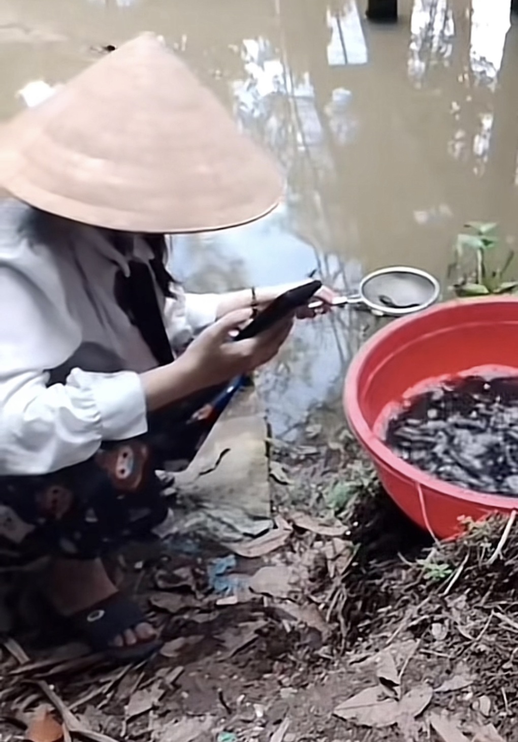 Xem livestream thả cá để phóng sinh: Tiện lợi hay biến tướng? - 2 Xem livestream thả cá để phóng sinh: Tiện lợi hay biến tướng? - 2