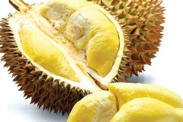 Đàn ông ăn sầu riêng như uống viagra khi "lâm trận"