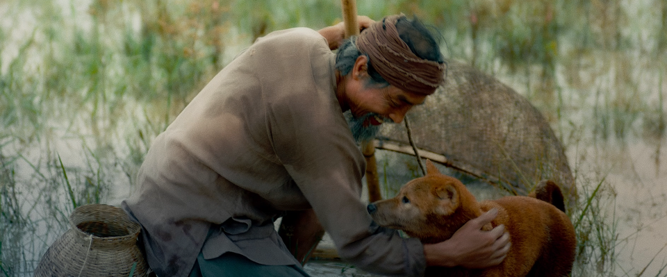 Phim “Cậu Vàng” chưa lên sóng đã dính lùm xùm, gây tranh cãi - 3 Phim “Cậu Vàng” chưa lên sóng đã dính lùm xùm, gây tranh cãi - 3