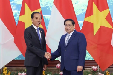 Thủ tướng Phạm Minh Chính tiếp Tổng thống Indonesia Joko Widodo