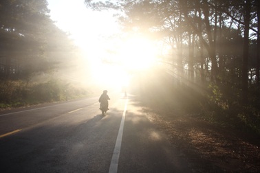 Trời rét đậm, sương mù “bủa vây” phố núi