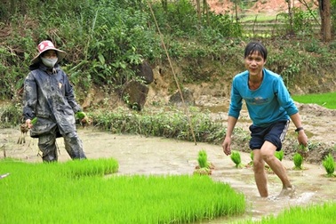 40 tuổi mới háo hức đón cái Tết đầu tiên