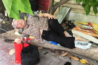 Cụ bà Sài Gòn ngả lưng trên thân cây khô chờ cháu ngoại đi thi