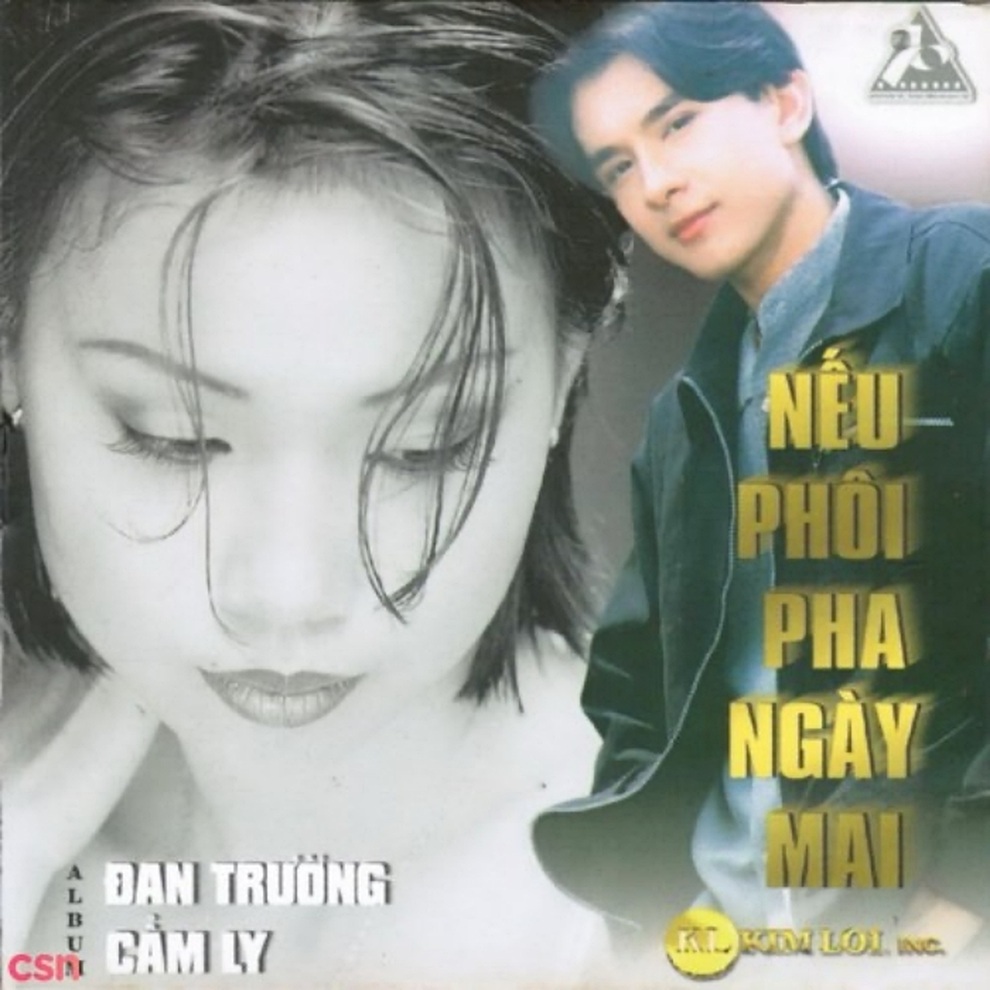 Cẩm Ly lên tiếng về tin đồn muốn giải nghệ vì bệnh tình - 3 Cẩm Ly lên tiếng về tin đồn muốn giải nghệ vì bệnh tình - 3