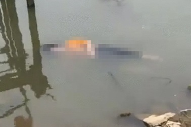 Thi thể người phụ nữ dạt vào bờ sông Lam