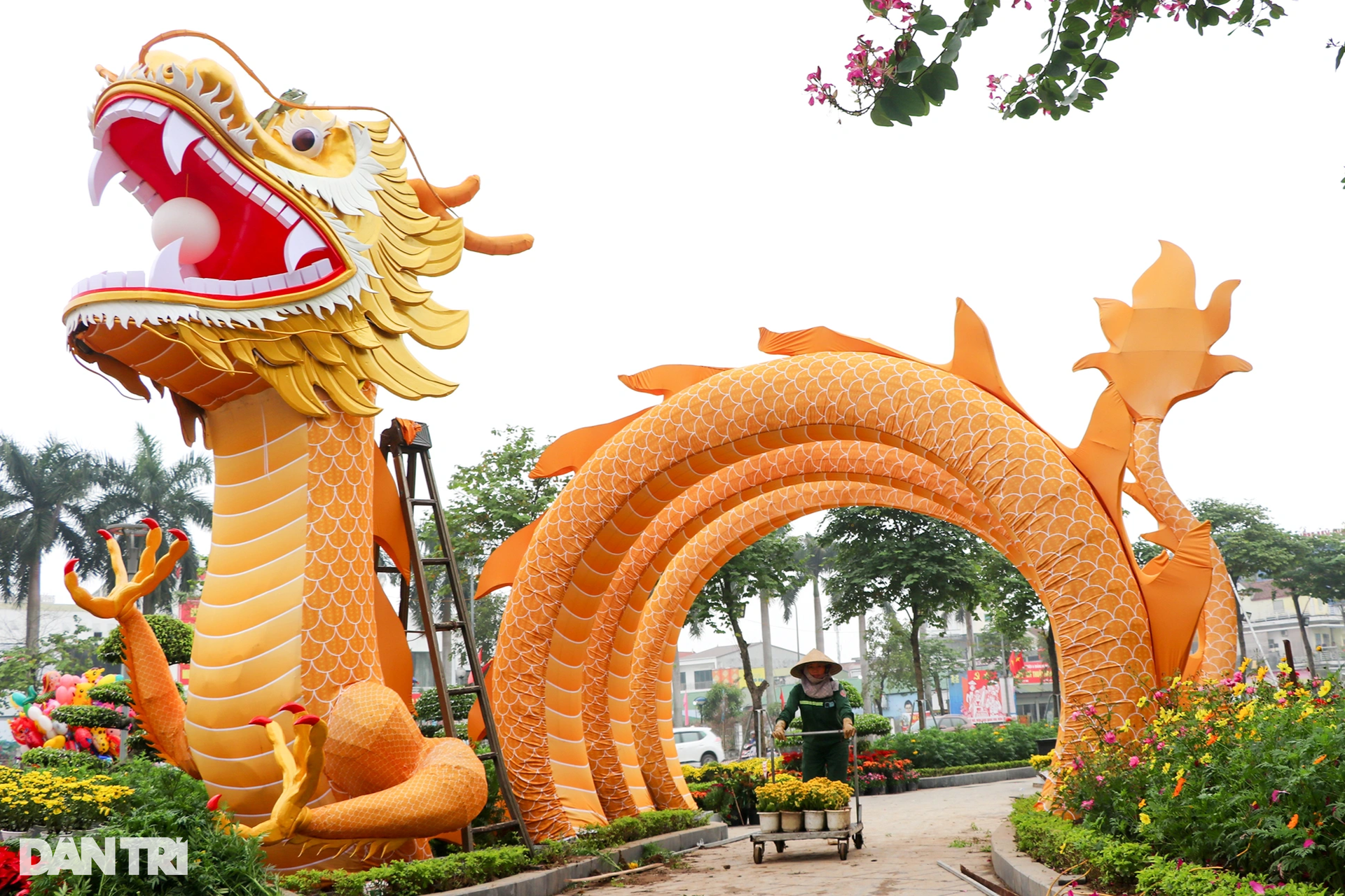 Linh vật rồng Nghệ An vừa trình làng, nhận vô số lời khen - 2 Linh vật rồng Nghệ An vừa trình làng, nhận vô số lời khen - 2