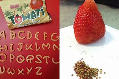 Đăng ảnh tiêu khiển mùa dịch, dân mạng khuyên "tìm việc có ích mà làm"