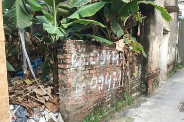 Đất thổ cư phía Đông Hà Nội “lên cơn sốt” sau tin xây 4 cây cầu