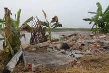 Ngày xuân, bàn về giá trị thêm vào và giá trị thặng dư