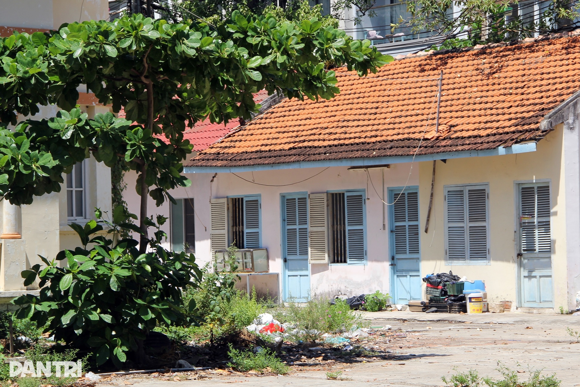 Những khu đất triệu đô ven biển Nha Trang bị bỏ hoang cho cỏ mọc - 6 Những khu đất triệu đô ven biển Nha Trang bị bỏ hoang cho cỏ mọc - 6