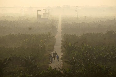 Bình minh huyền ảo trên bãi sông sát trung tâm Hà Nội