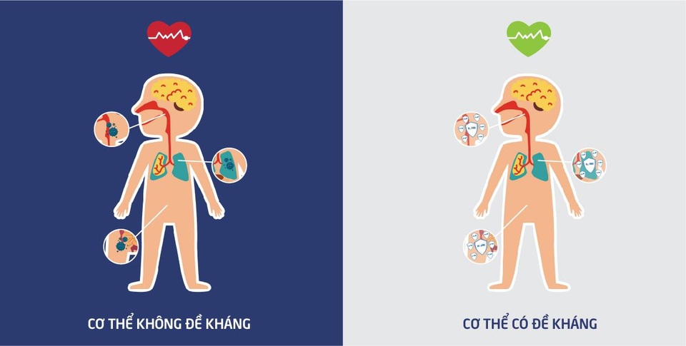 Sử dụng Bào tử lợi khuẩn Bacillus giúp tăng đề kháng đa kênh cho cơ thể - 3 Sử dụng Bào tử lợi khuẩn Bacillus giúp tăng đề kháng đa kênh cho cơ thể - 3