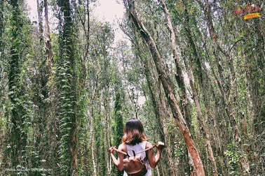 3 điểm đến chất lừ để "trốn" nắng Sài Gòn dịp lễ 2/9