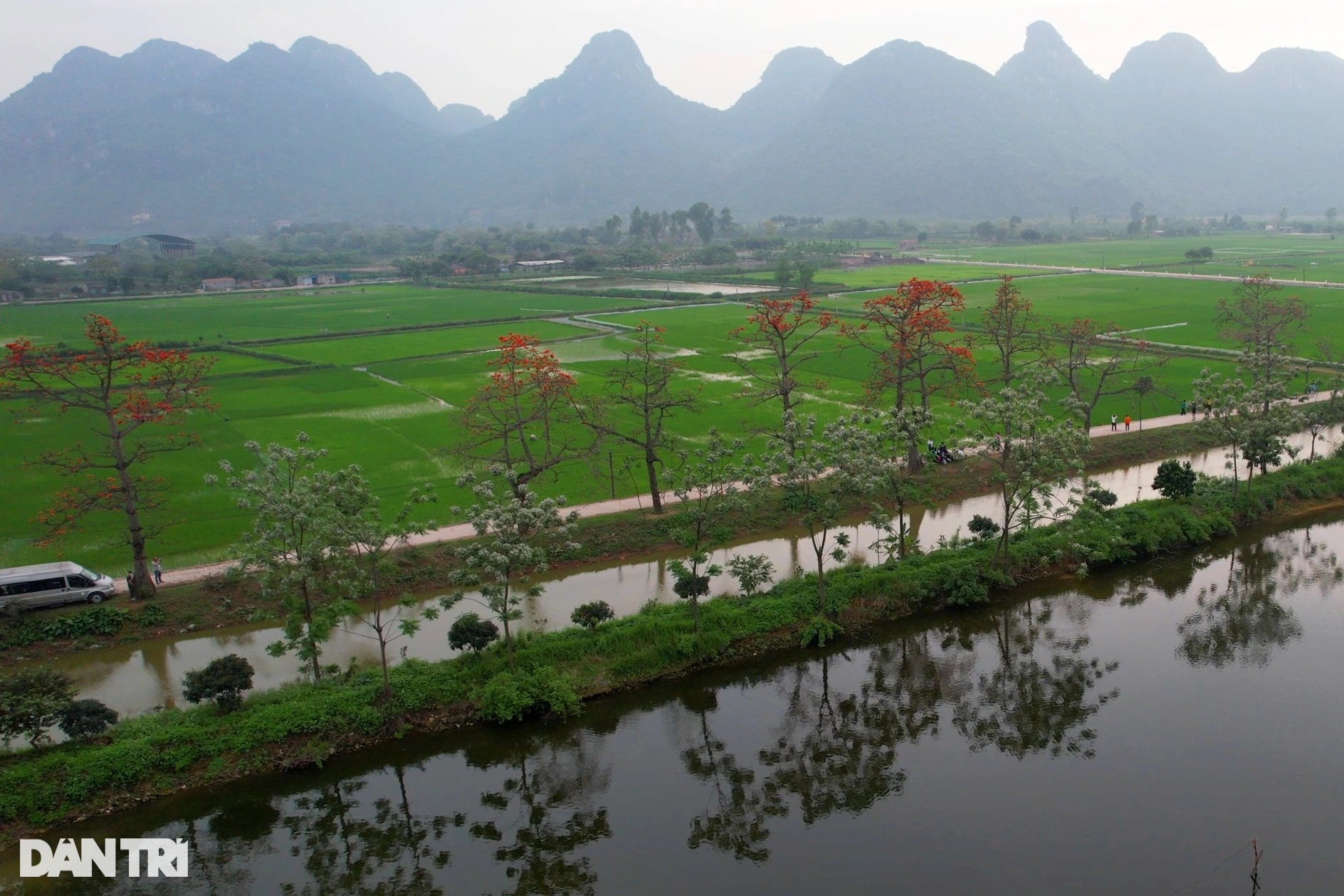 Đỏ rực từ nông thôn đến thành phố mùa hoa gạo tháng Ba ở Hà Nội - 4 Đỏ rực từ nông thôn đến thành phố mùa hoa gạo tháng Ba ở Hà Nội - 4