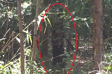 Đi hái măng tá hỏa phát hiện thi thể người đàn ông trong tư thế treo cổ