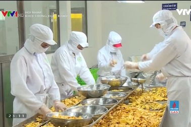 Khơi thông xuất khẩu: Rào cản và giải pháp