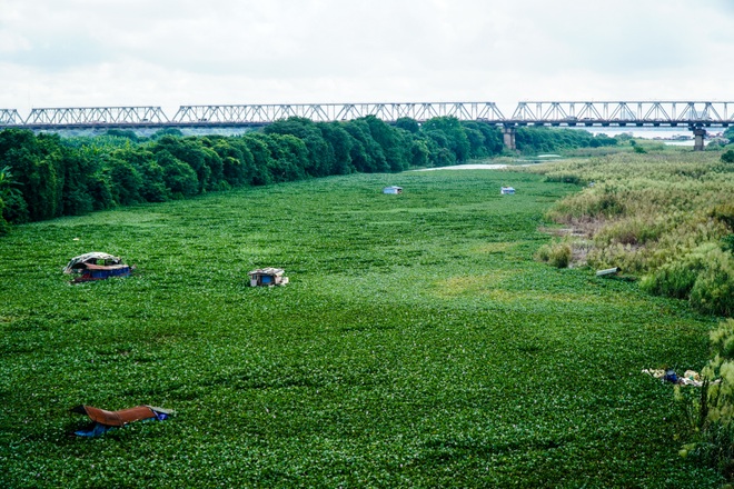 Cảnh hồ thủy điện xả lũ lớn, nước cuộn sóng nhấn chìm bãi giữa sông Hồng - 4 Cảnh hồ thủy điện xả lũ lớn, nước cuộn sóng nhấn chìm bãi giữa sông Hồng - 4