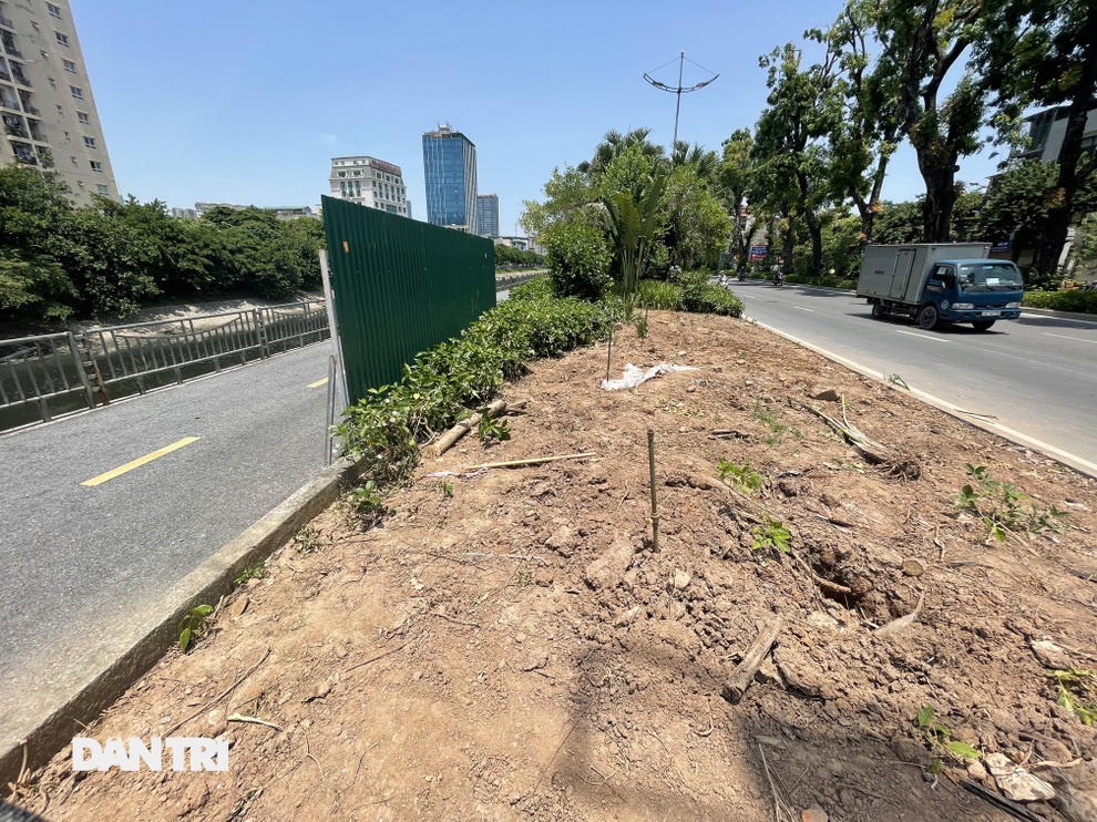 Đánh chuyển hơn 700 cây xanh dọc sông Tô Lịch để làm dự án thoát nước thải - 5 Đánh chuyển hơn 700 cây xanh dọc sông Tô Lịch để làm dự án thoát nước thải - 5