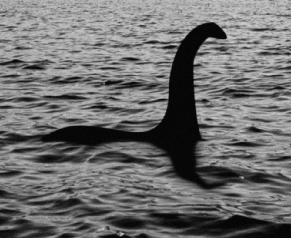 Bí mật về quái vật giống quái vật hồ Loch Ness - 2