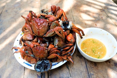 Độc nhất miền Tây nông dân bắt ba khía bằng rập chuột