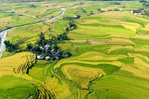 Tìm đường lên cổng trời ở Mù Căng Chải 