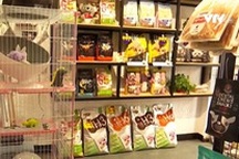 Trung Quốc: Bùng nổ dịch vụ chăm sóc thú cưng dịp Tết