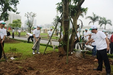 Hà Nội: Trồng cây xanh hưởng ứng ngày Môi trường thế giới
