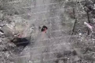 Nga dùng robot mang mìn chống tăng tập kích cứ điểm Ukraine