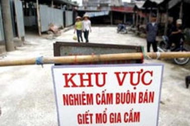 Căng thẳng chờ đại dịch